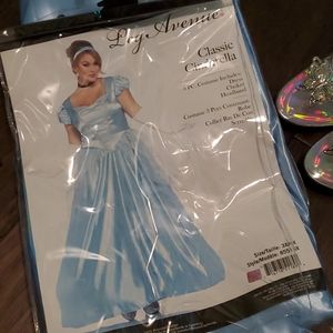 Adult Cinderella Costume